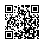 Link to https://gohugo.io/hugo-pipes/bundling/